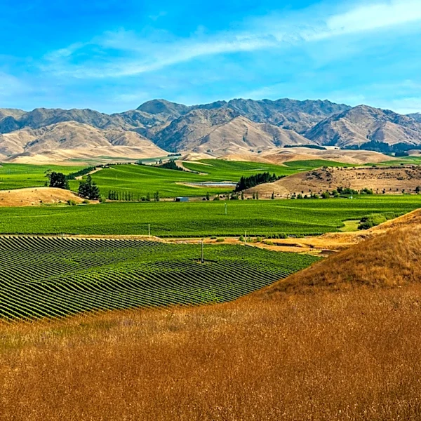 Columbia Hills Approved as Washington’s Newest Appellation, Boosting State’s Wine Industry