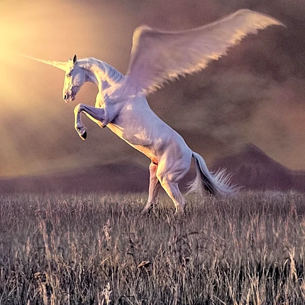 Rillet Achieves Unicorn Status with $1 Billion Valuation, Challenges Legacy ERP Systems with AI-Native Accounting Platform