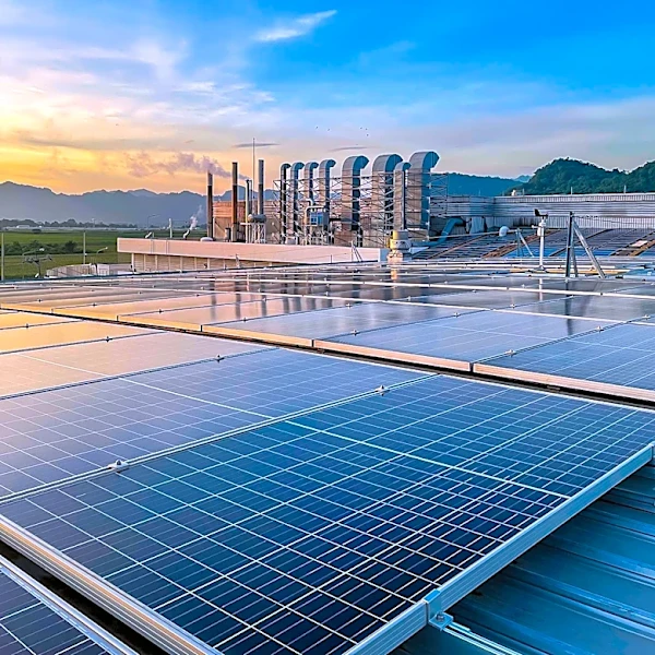 Translucent Energy Establishes 1.2 GW Solar Module Factory in South Carolina, Boosting Domestic Production