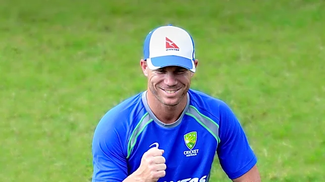 Australian Cricketer David Warner Fined for Drink-Driving, Cites 'Media Onslaught' Impact on Career