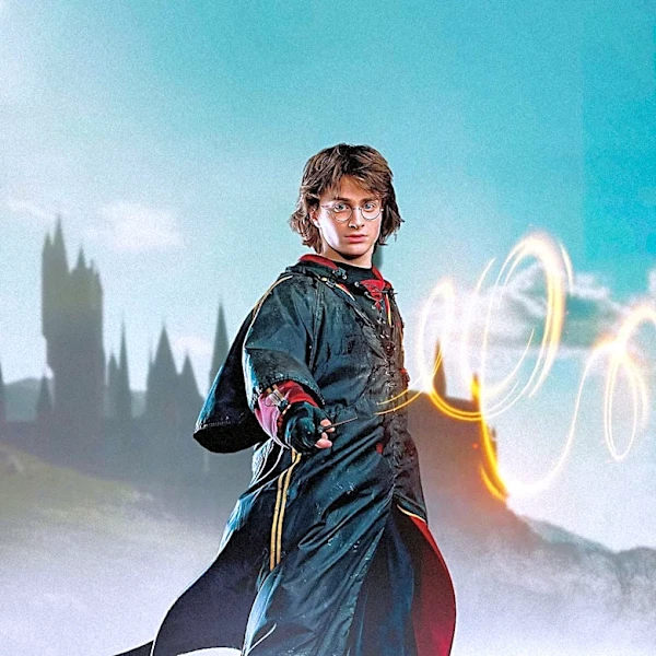 Harry Potter Wands: A Deep Dive into Their Unique Characteristics and Significance