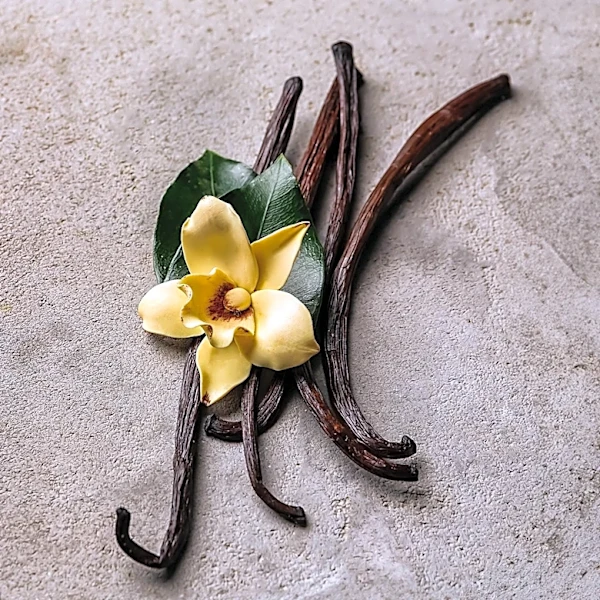 Home Fragrance Experts Recommend Vanilla Essence for Entryway Odor Neutralization