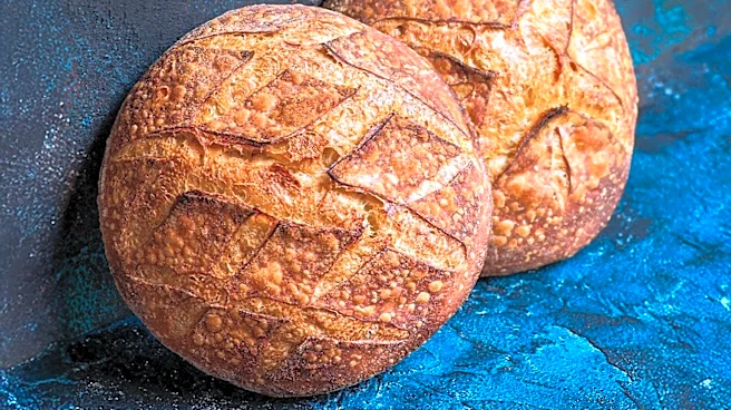 Portland, Maine, Emerges as a Premier Bakery Destination in New England