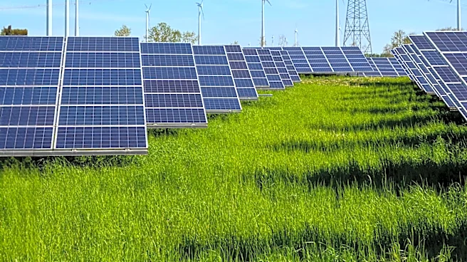 NextEra Energy Seeks Senior Engineer for Renewable and Transmission Projects