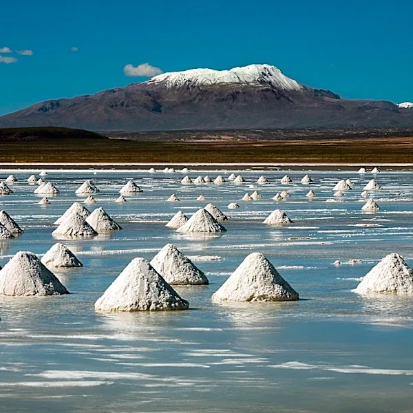WTW and Peterson Institute for International Economics Warn of Growing Lithium Supply Concentration Risk in South America
