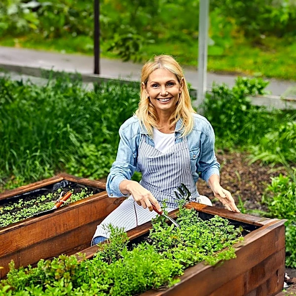 Corten Steel Emerges as Durable, Non-Toxic Alternative for Raised Garden Beds