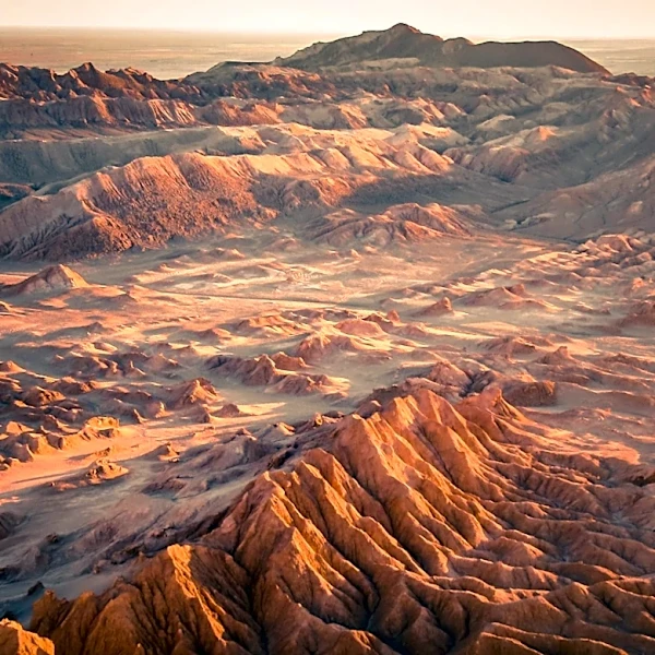 Peter Thiel Invests $76 Million in Argentina's Vaca Muerta Shale, Signaling Confidence in Energy Sector