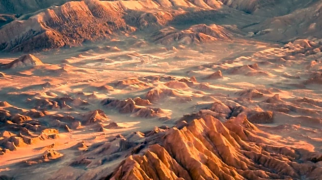 Peter Thiel Invests $76 Million in Argentina's Vaca Muerta Shale, Signaling Confidence in Energy Sector