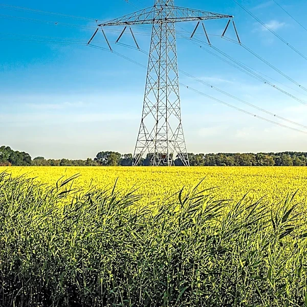 CenterPoint Energy Unveils 10 Commitments for Texas Transmission Projects