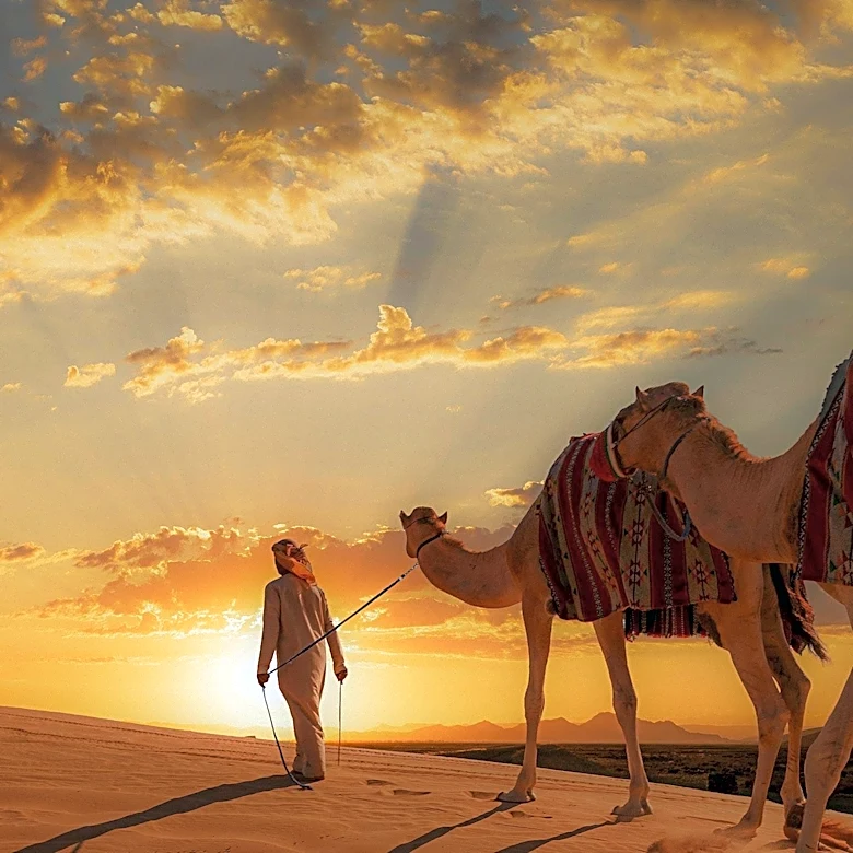 The Luxury Collection Launches 'Expeditions' to Offer Immersive Cultural Travel Experiences