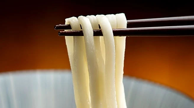 Udon Billionaire Aims to Establish Thick Noodles as Global Fast-Food Staple in U.S.