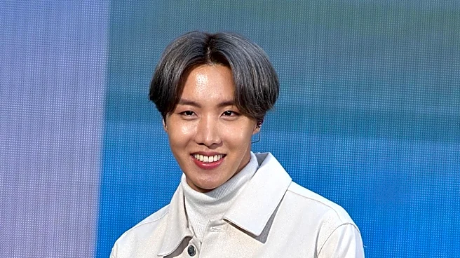 BTS Members RM and J-Hope Face Fan Backlash Over Photo with Chris Brown