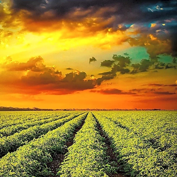 Congressman Russ Fulcher Praises Constellation Brands' $100 Million Investment in U.S. Agriculture