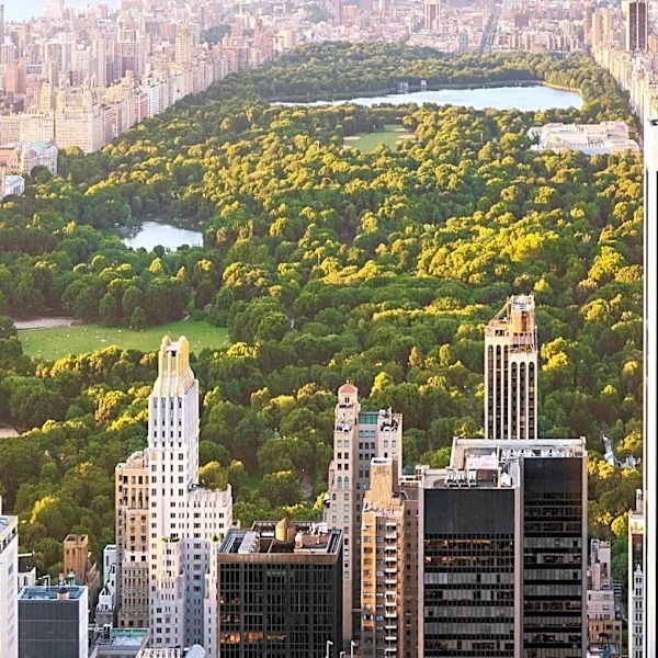 Central Park South Offers Diverse Attractions and Dining Options in New York City