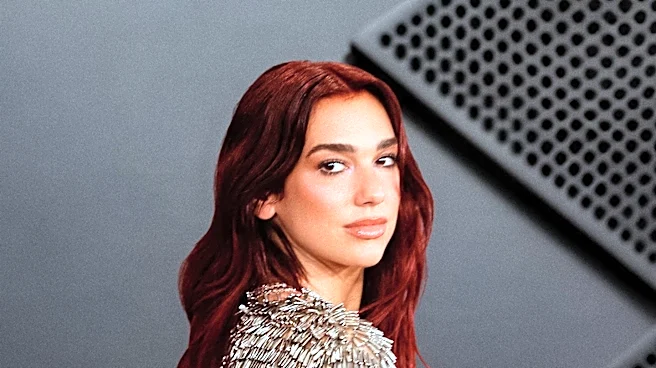 Dua Lipa's 'Manifesto Library' Project Misinterprets 'Banned Books' Concept