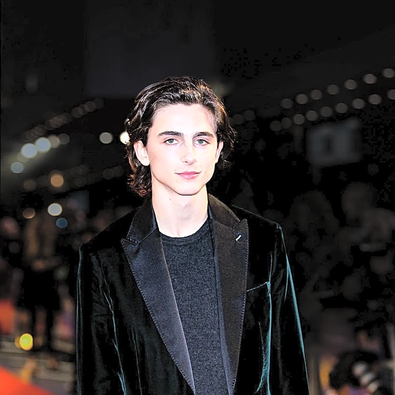 Timothée Chalamet Visited Bob Dylan's Childhood Home During 2024 Film Production