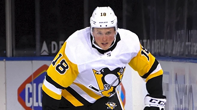 Pittsburgh Penguins Trade Collegiate Prospect Cruz Lucius to Anaheim Ducks for Future Considerations