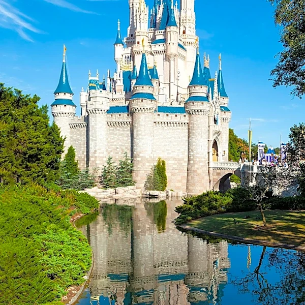 Disney Introduces New World of DVC App to Streamline Resort Vacation Rentals and Resales