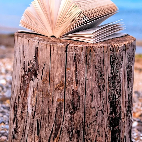 Canadian Author Mark Daniels Publishes Memoir on Overcoming Fear of Early Death in Lake Tahoe