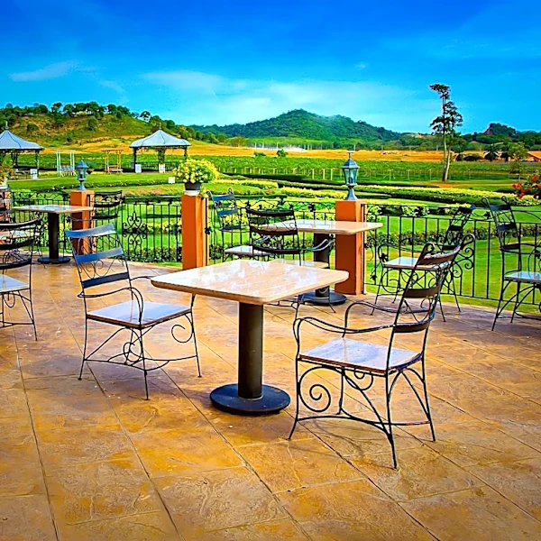 Francis Ford Coppola Winery Restaurant Ranks Fourth Nationally Among Best Winery Dining Experiences