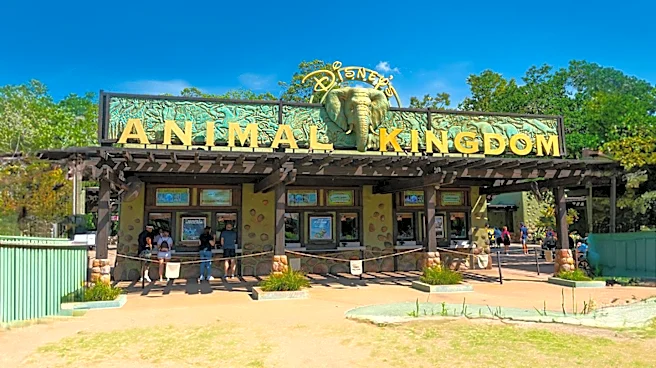 Disney Legend Joe Rohde Confirms No Current Plans for Live Animals in Animal Kingdom's Tropical Americas Expansion