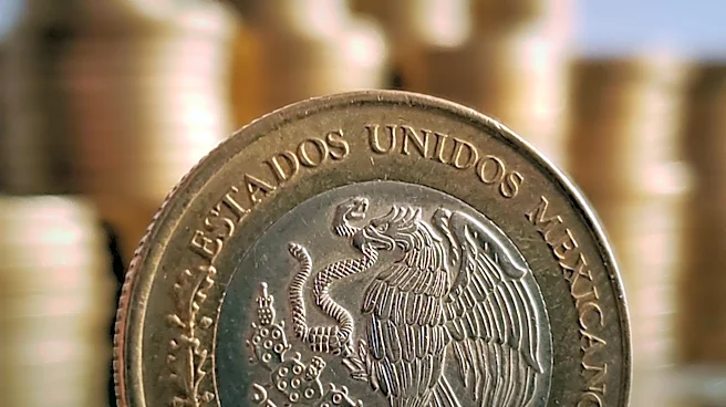 Morgan Stanley Upgrades Ternium Amidst Potential U.S.-Mexico Steel Tariff Reductions