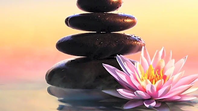Daily Micro-Habits Offer New Strategies for Stress Reduction