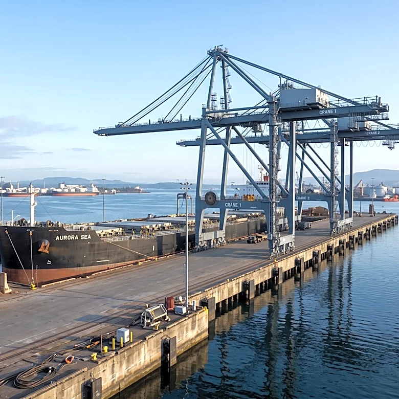 Domtar Idles Howe Sound Mill and Bayview Fibre Facility, Affecting 400 Employees