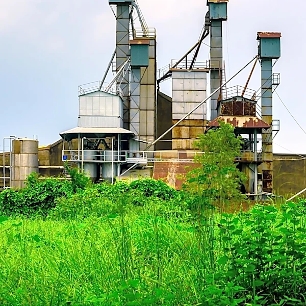 Henry Ford's Fordlandia Project in Brazilian Amazon Deemed a Catastrophic Failure