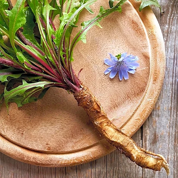 Edible Weeds Offer Nutritious and Sustainable Food Source for Gardeners