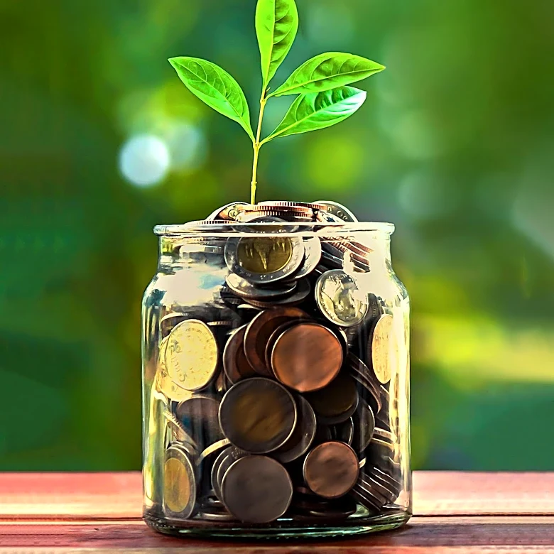Hedge Funds Invest in Norwegian Cruise Lines Amidst Deep-Value Opportunity