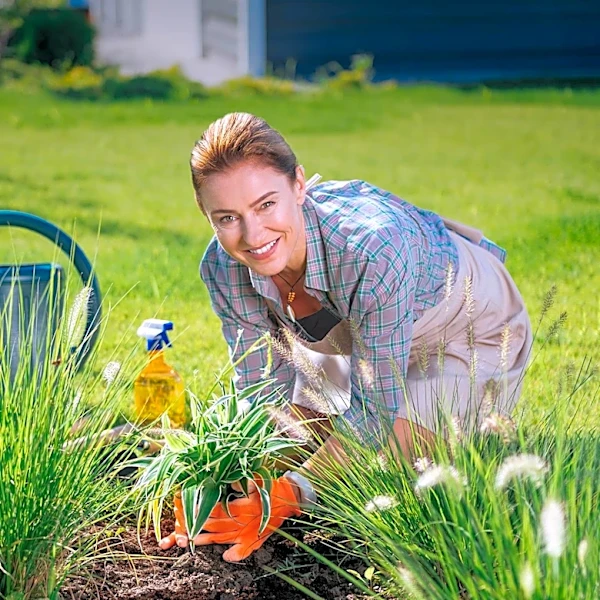 Gardeners Advised to Avoid High-Nitrogen Fertilizers in August to Protect Plant Health and Maximize Yields