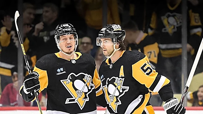 Pittsburgh Penguins Consider Professional Tryout Offers for Defensemen Amidst Blue Line Uncertainty
