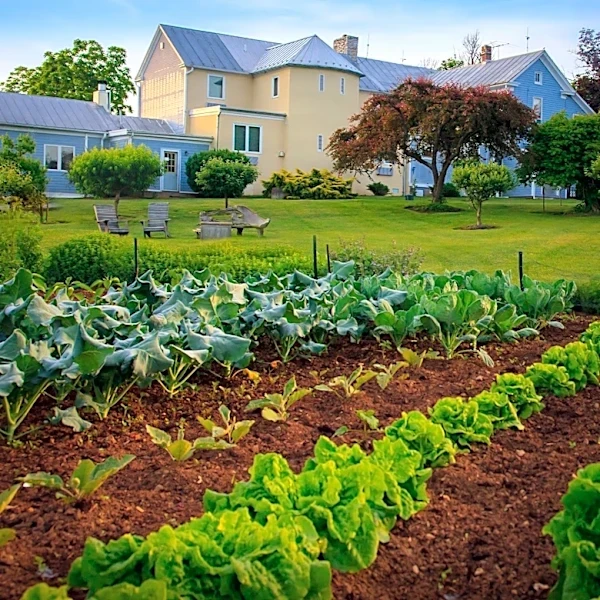 Gardeners Advised on Low-Maintenance Plants That Thrive with Minimal Intervention