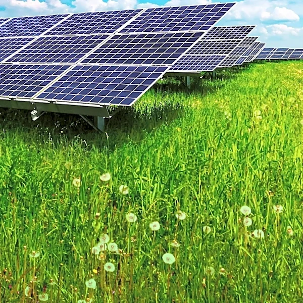 Hoosier Solar Files Lawsuit Against LaPorte County BZA Over Denied Solar Farm Plans