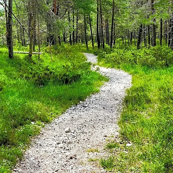 Pinecone Burke Provincial Park Offers Family-Friendly Hiking Trails Across 38,000 Hectares