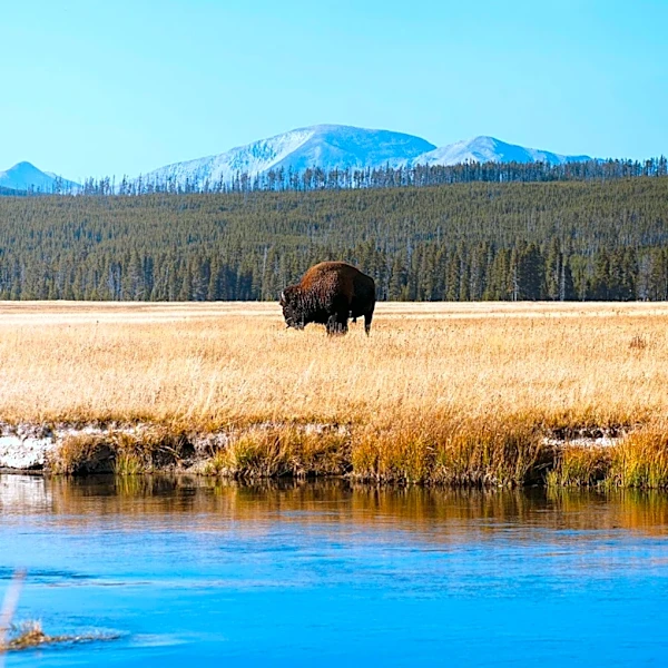 Journalist Sues Taylor Sheridan and Paramount Over 'Yellowstone' Concept Allegations