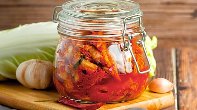 Fermented Foods Offer Varied Digestive Health Benefits, Require Cautious Introduction