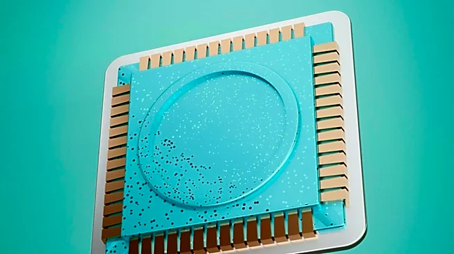 Broadcom Seeks Up to $80 Billion in Debt to Fund AI Chip and Infrastructure for Anthropic