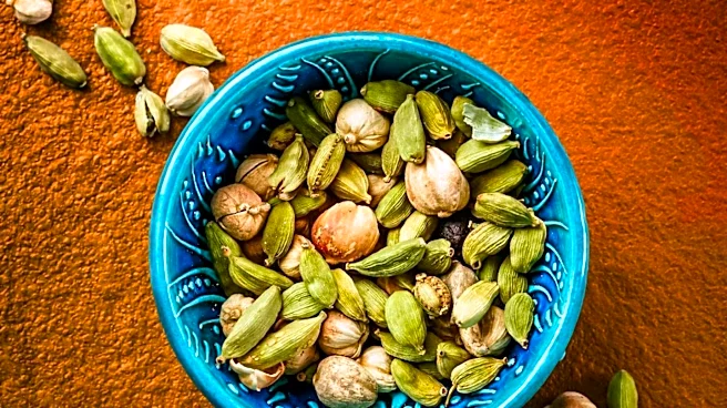 Green Cardamom Enhances Brownie Flavor to Achieve Bakery-Worthy Quality