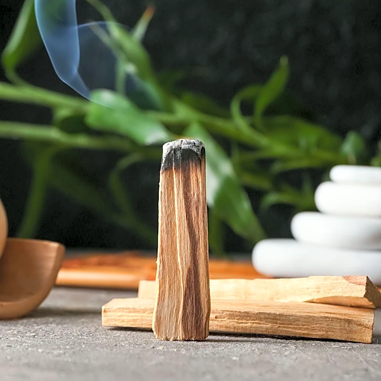 Yel Studios Introduces Luxury Palo Santo  Ceramic Incense Burner for Home Fragrance Rituals