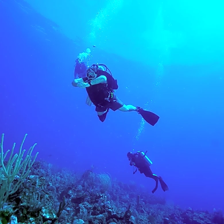 Bonaire Emerges as Premier Scuba Diving Destination in the Caribbean