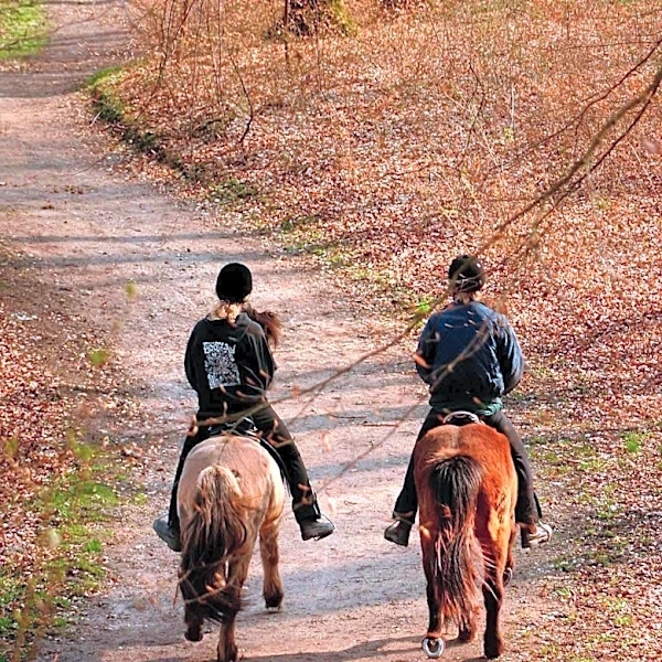 Buffalo Soldiers Heritage Association Offers Horseback Riding and History in Detroit's Rouge Park