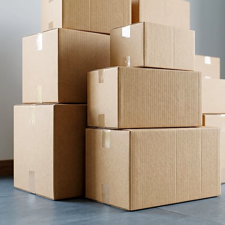 Experts Warn Cardboard Attracts Cockroaches, Posing Health Risks in Homes