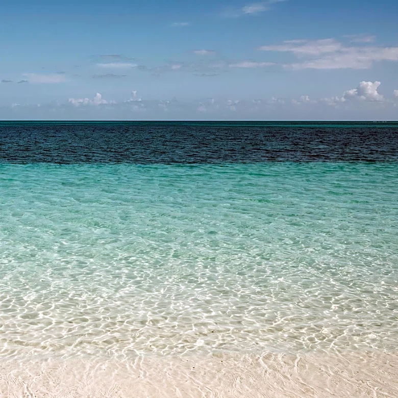 Teen Marine Biologist Aspirant Attacked by Barracuda in Turks and Caicos