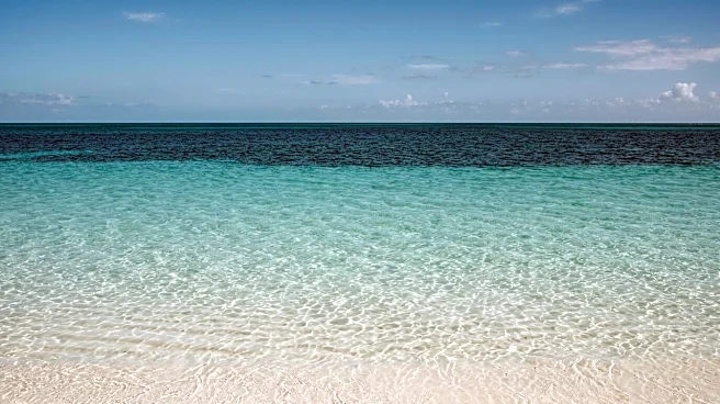 Teen Marine Biologist Aspirant Attacked by Barracuda in Turks and Caicos