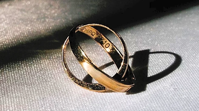 Malin Akerman's First Marriage to Musician Roberto Zincone Detailed