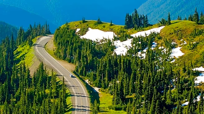 Seattle Residents Offered Four Scenic Road Trip Options for Summer Travel