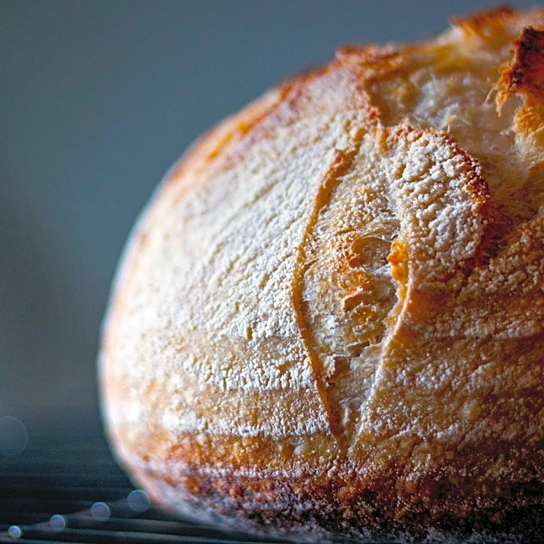 It's Alive Sourdough Founders Prioritize Health and Regenerative Agriculture in California Bakery