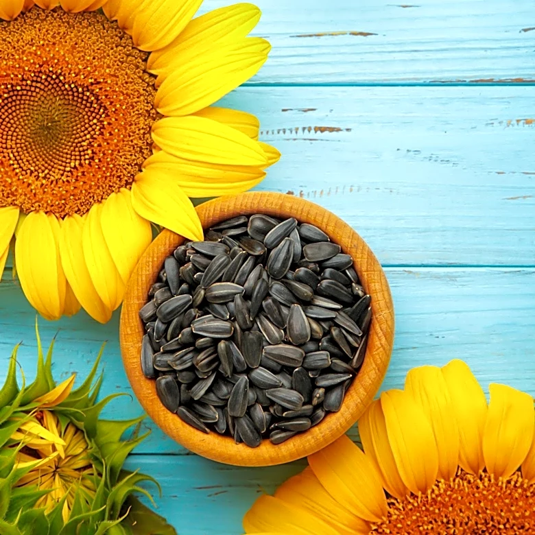 Archer Daniels Midland Leads Sunflower Meal Production for Growing Aquaculture Market